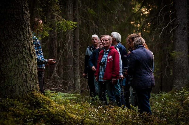 From Stockholm: Moose & Wildlife Safari with Campfire Dinner - Should you book the Stockholm moose safari?