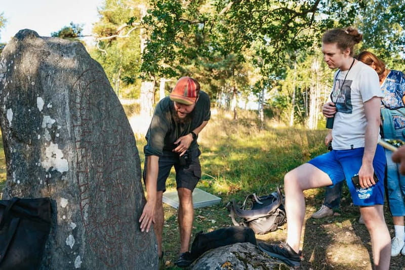 From Stockholm: Moose & Wildlife Safari with Campfire Dinner - From Stockholm streets to Swedish forest