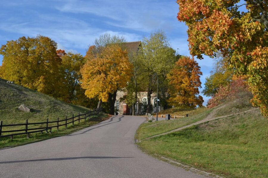From Stockholm: Uppsala and Sigtuna Viking Sites Tour - Uppsala Cathedral and the university quarter