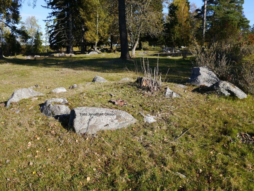 From Stockholm: Viking Culture and Heritage Small Group Tour - Arkils tingstad and the Viking parliament