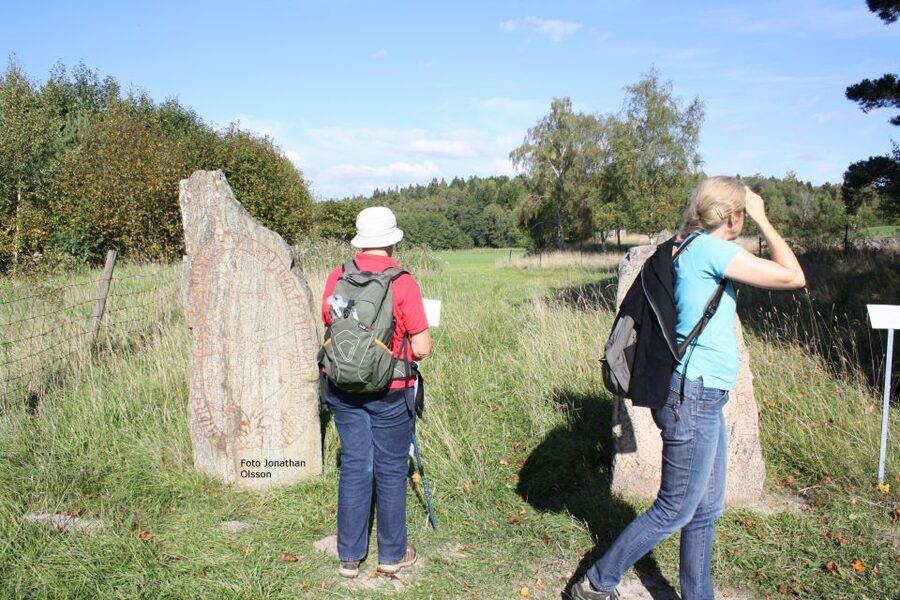 From Stockholm: Viking Culture and Heritage Small Group Tour - Who should book this experience?