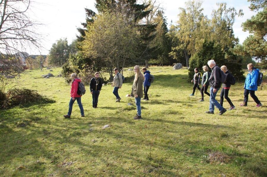 From Stockholm: Viking Culture Guided Tour with Transfer - Is $193 a fair price?