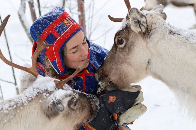 Full-Day Reindeer Tour with Pickup in Kiruna - Key points before you reserve