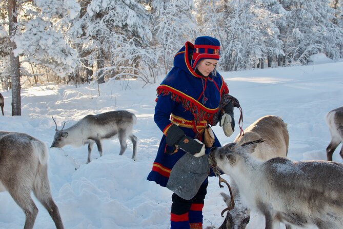 Full-Day Reindeer Tour with Pickup in Kiruna - Leaving Kiruna for the reindeer country