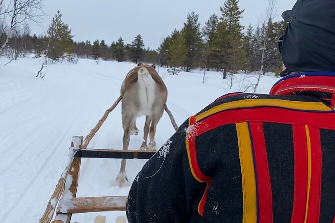 Full-Day Reindeer Tour with Pickup in Kiruna - Learning about Sámi life from Fredrik and Peter