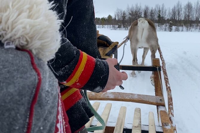 Full-Day Reindeer Tour with Pickup in Kiruna - Lunch beside the fire in a traditional tent