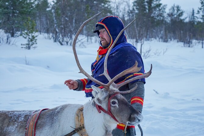 Full-Day Reindeer Tour with Pickup in Kiruna - Is the $309.21 price fair?