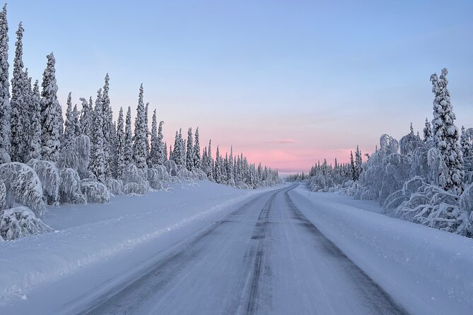 Full-Day Reindeer Tour with Pickup in Kiruna - Who will enjoy this Kiruna day trip?