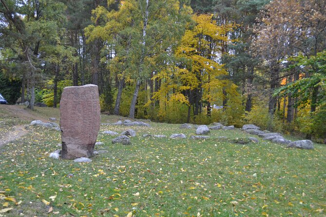 Full Day Viking Tour with Fika Swedish Coffee Break - Old Uppsala and the burial mounds