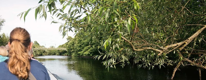 Gothenburg: Paddan Sightseeing Cruise on the River Säveån - Key things to know before you board