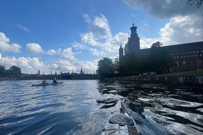 Guided Kayak Tour in Central Stockholm - Wind, rain, and the honest physical effort