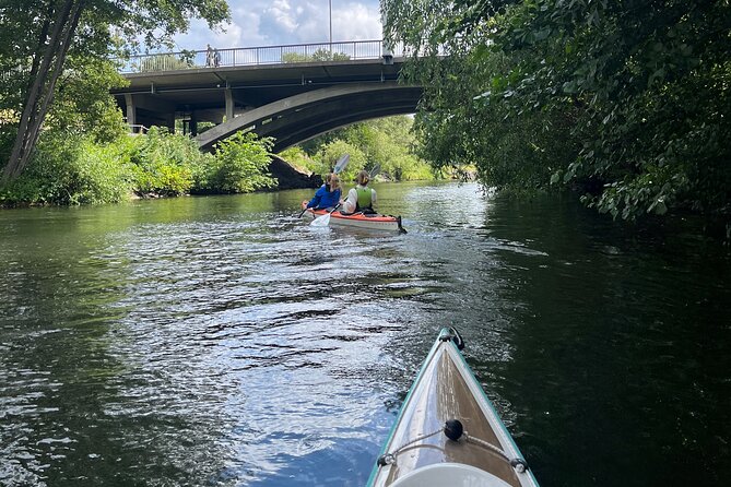 Guided Kayak Tour in Central Stockholm - Guide quality and the small-group advantage
