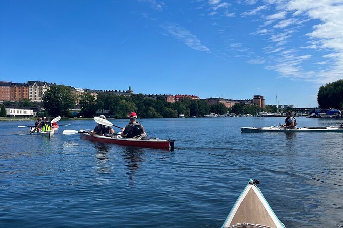 Guided Kayak Tour in Central Stockholm - Is $78.14 a fair price?