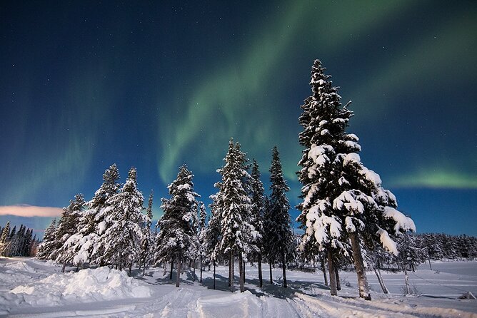 Guided Northern Lights Tour at Kiruna - Waiting beside a fire in the winter cold