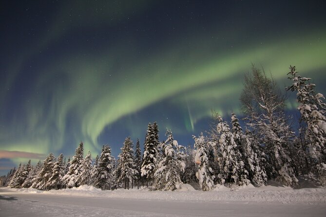Guided Northern Lights Tour at Kiruna - Who should book this Kiruna tour?