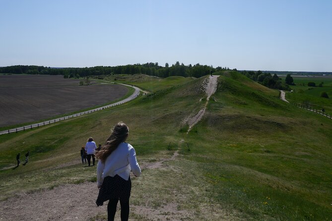 Guided tour 90min at Old Uppsala mounds and old Uppsala church - Key points to know before you book