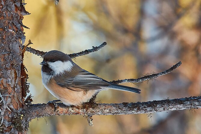 Half day Wildlife and Nature Photography - The first stop: getting comfortable with the camera