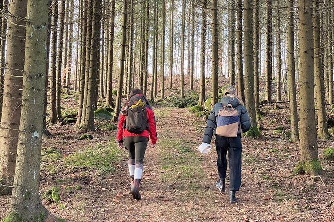 Hike with Wild Forage Surviving Tips and Local Lunch at the Lake - What makes this Swedish forest hike special