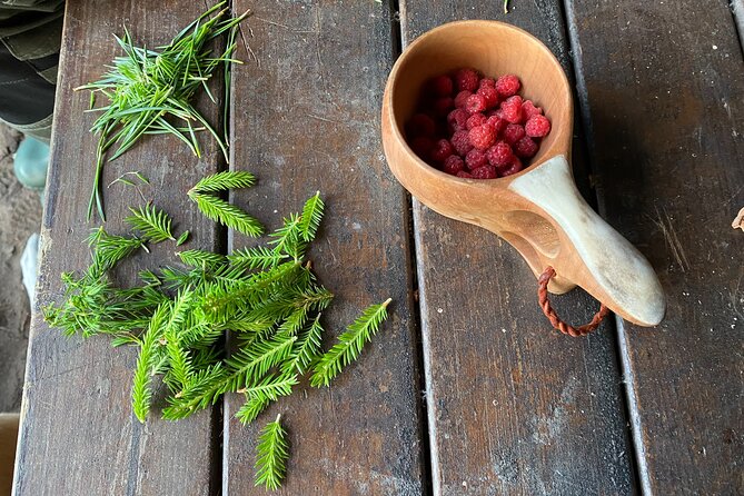 Hike with Wild Forage Surviving Tips and Local Lunch at the Lake - Who will enjoy the pace and who should think twice