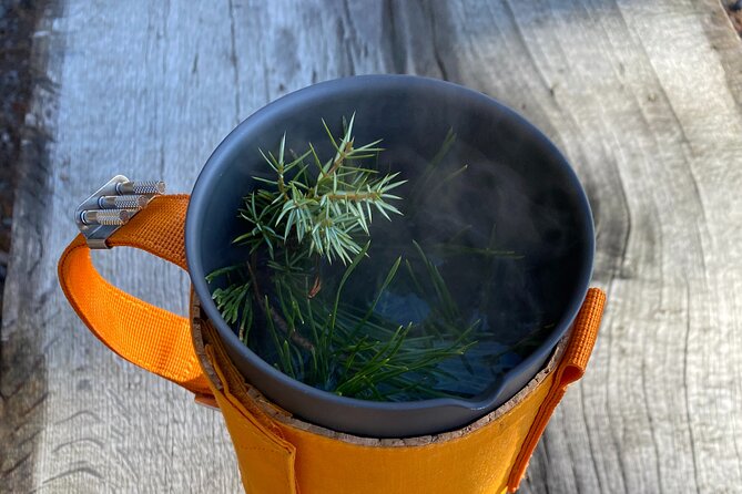 Hike with Wild Forage Surviving Tips and Local Lunch at the Lake - Walking old paths near Karsbo and the Torsåsleden