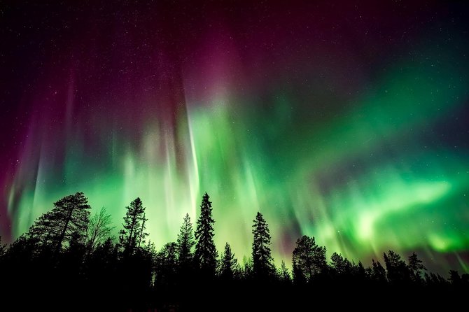 Hunt for the Northern lights in Kiruna - Abisko - What the guide adds to the evening