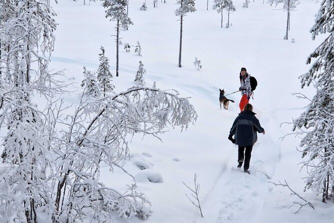 Husky Hike, Snowshoe hike with huskies - Key points to know before booking