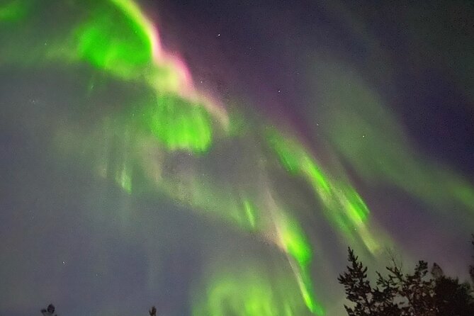 Husky Sled Ride Northern Lights Tour from Kiruna - Key points at a glance