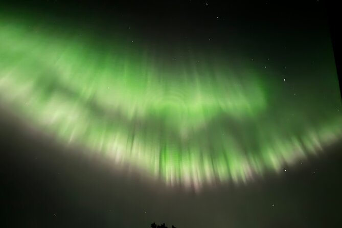 Husky Sled Ride Northern Lights Tour from Kiruna - Starting at Husky Tours Lapland in Svappavaara