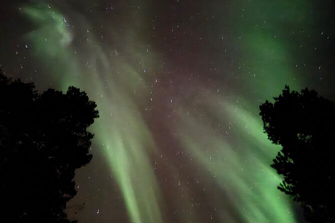 Husky Sled Ride Northern Lights Tour from Kiruna - Group size, timing, and the value of $194.04