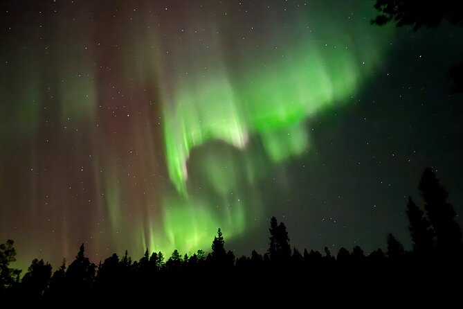 Husky Sled Ride Northern Lights Tour from Kiruna - Who will enjoy this three-hour outing most