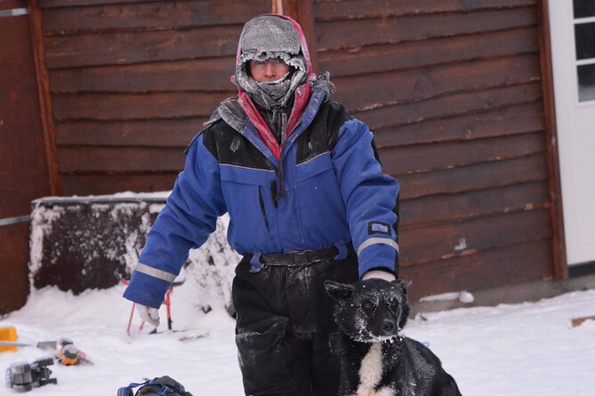 Husky Tour Sit and Drive Combo Tour from Kiruna - Meeting the dogs before you drive