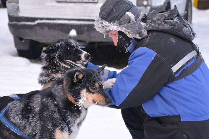 Husky Tour Sit and Drive Combo Tour from Kiruna - What the $271.84 price really buys