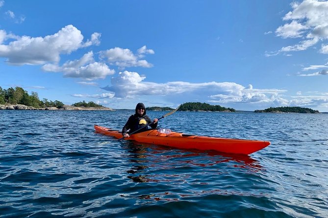 Kayak Tour in the Stockholm Archipelago with Lunch Meal - Wildlife, swimming, and the pleasure of stopping