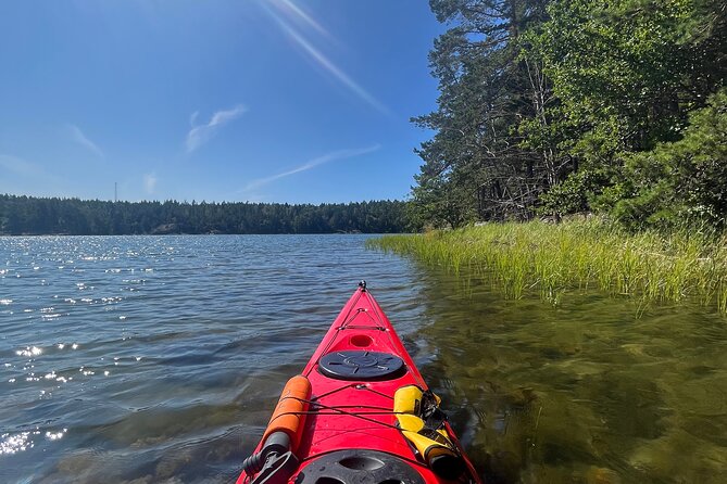 Kayak Tour in the Stockholm Archipelago with Lunch Meal - Fresh lunch and a proper Swedish fika