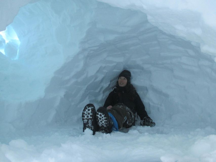 Kiruna: Build your own igloo overnight Tour - Morning in the lavvu, then time with the dogs