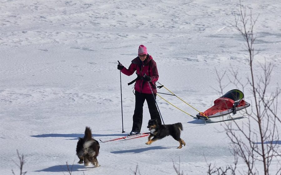 Kiruna: Cross-Country Skiing Tour with a Guide - Learning the basic cross-country motion