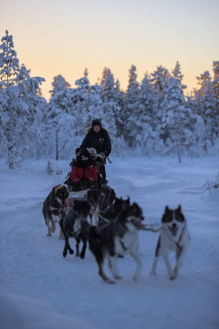 Kiruna: Morning Husky Sled Ride with Coffee Break - The first run through forest and frozen water