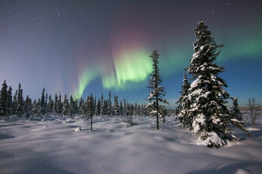 Kiruna: Northern Lights Minivan Chase with Warm Drink - Key points to know before booking