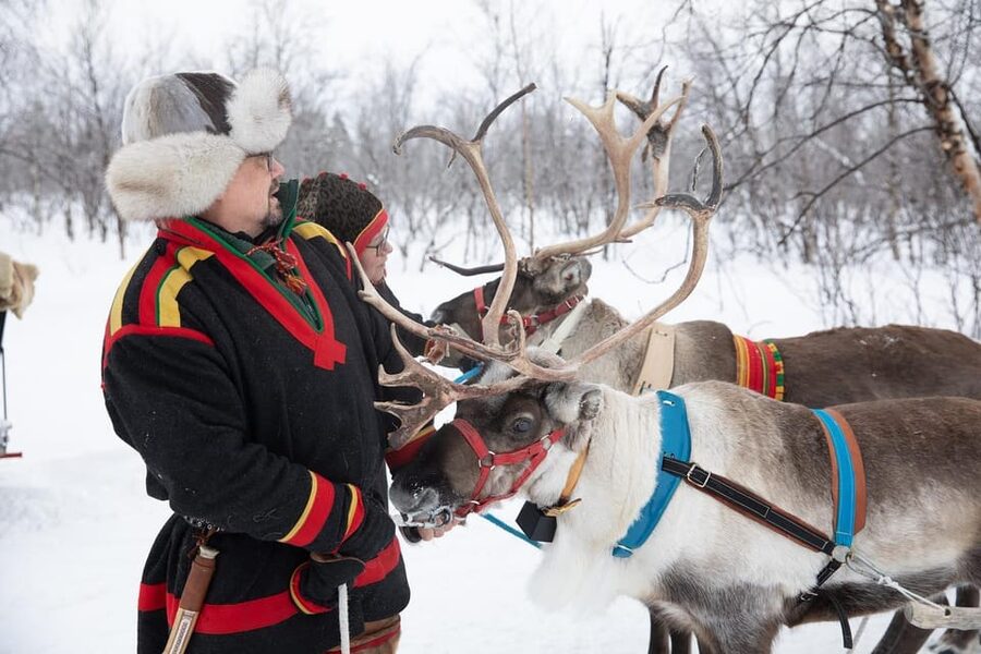 KIRUNA: Sami Reindeer Experience - Stories beside the fire