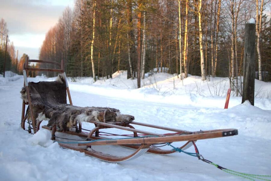 Luleå: Guided Dog Sledding Tour - Is $188 a fair price?