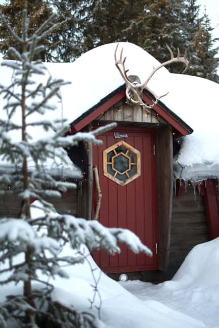 Luleå: Guided Dog Sledding Tour - Who will enjoy this tour most?
