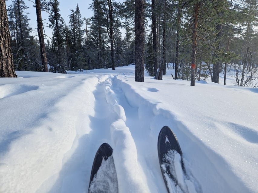 Luleå: Nordic Touring Skiing Adventure - Key points at a glance