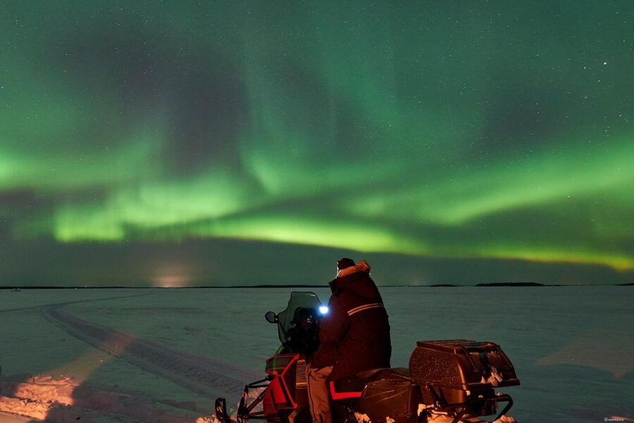 Luleå : Northern lights snowmobile tour - Booking details worth checking