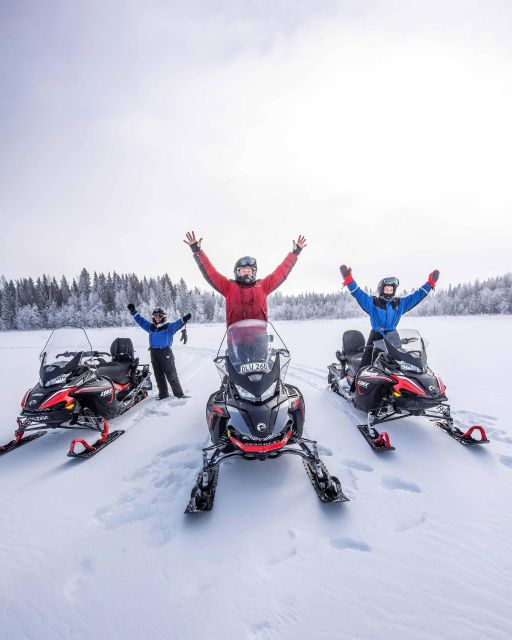 Luleå : Snowmobile - Forest and Ice Nature Tour 2h - Quick facts for planning your ride