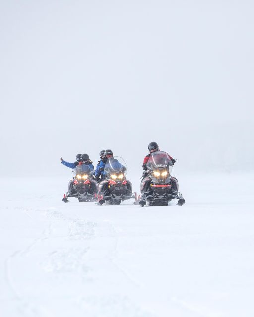 Luleå : Snowmobile - Forest and Ice Nature Tour 2h - What Brändön Lodge adds before the return trip
