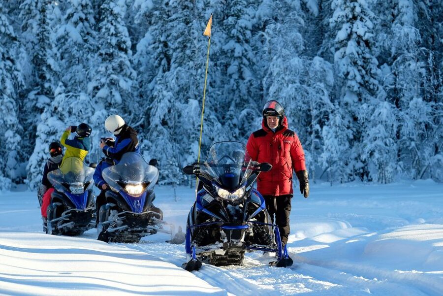Luleå : Snowmobile - Forest and Ice Nature Tour 2h - Is $192 per person fair value?