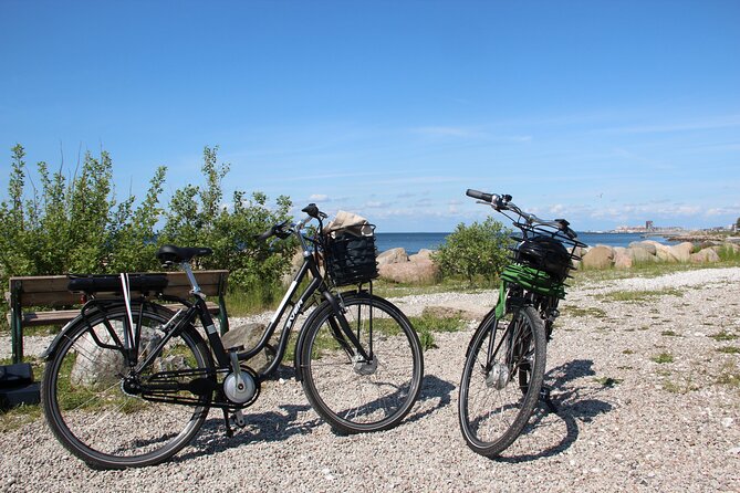 Malmo Bike Rental - Who will enjoy this rental most?