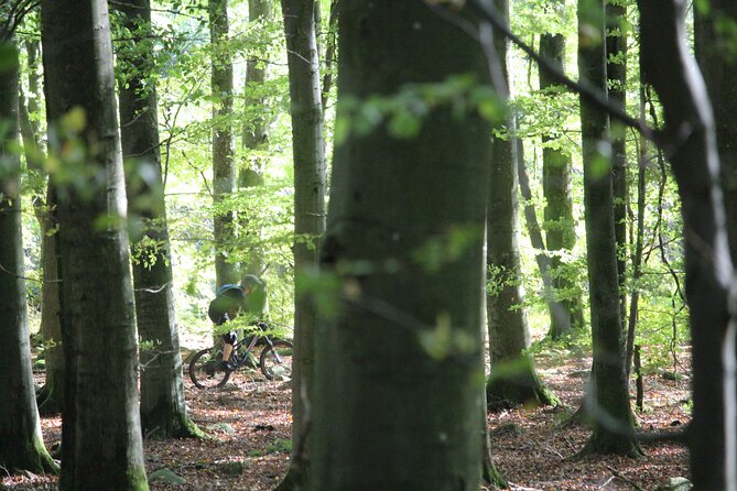 Malmo Bike Rental - What comes with the 26 dollar rental
