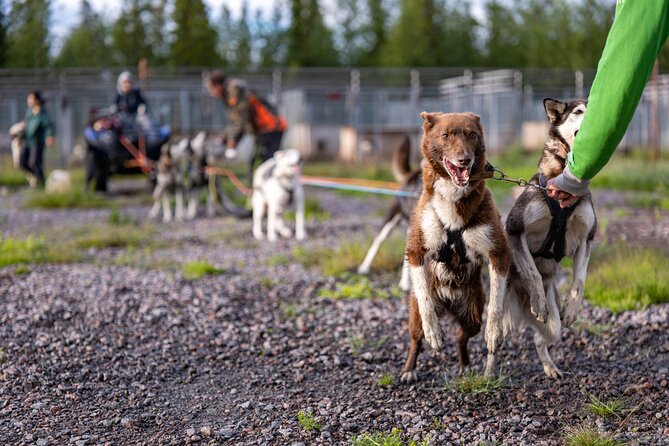 Meet 70 Huskies and Enjoy a short ATV Tour with the Huskies - What the $192.31 price means