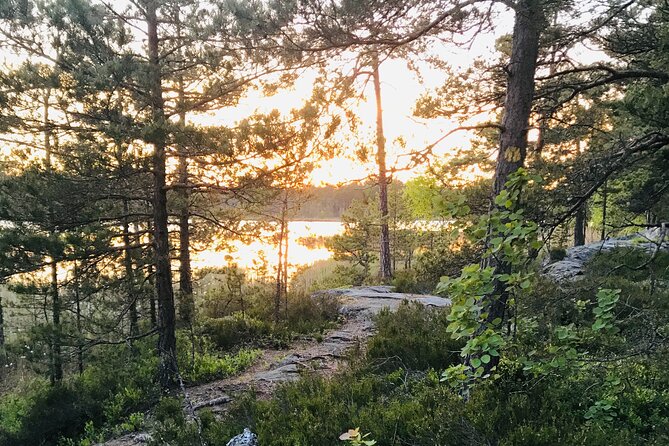 Midnight Sun and Campfire - National Park evening hike Stockholm - From Cityterminalen to Tyresta’s quiet trails